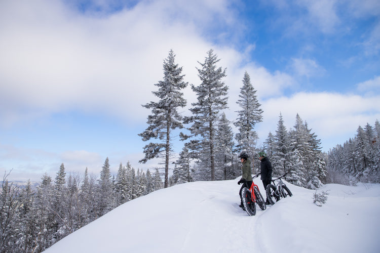 Fat Bikes