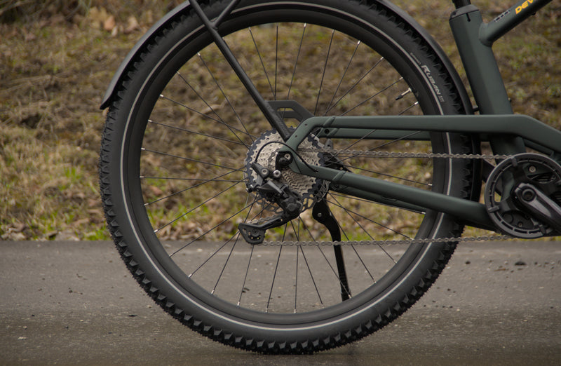 Load image into Gallery viewer, Devinci E-Cartier