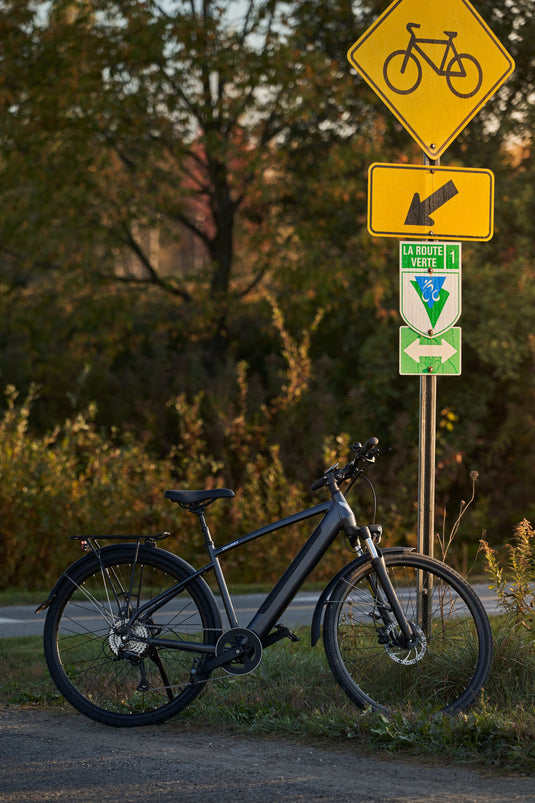 Devinci E-Milano HD
