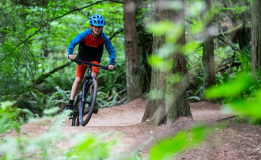 Norco Charger S26 Grey