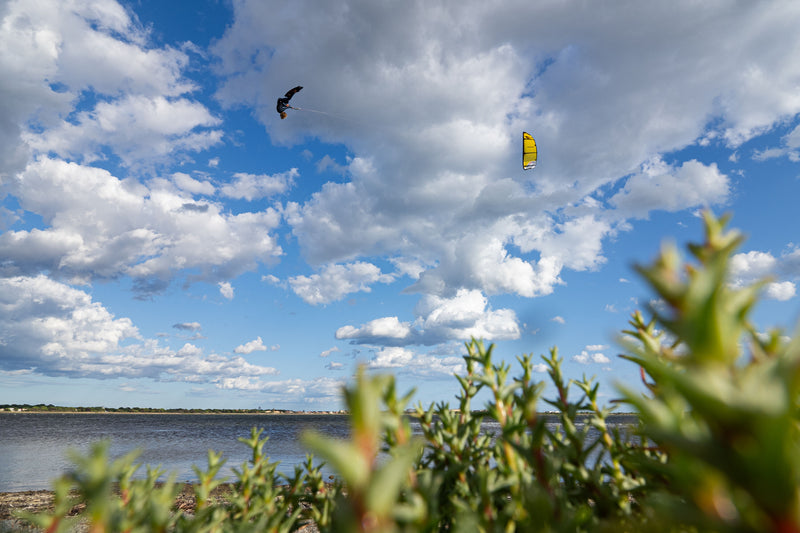 Load image into Gallery viewer, Ozone Edge V12