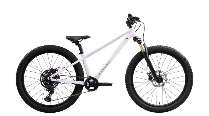 Load image into Gallery viewer, Norco Charger S24 Ice White