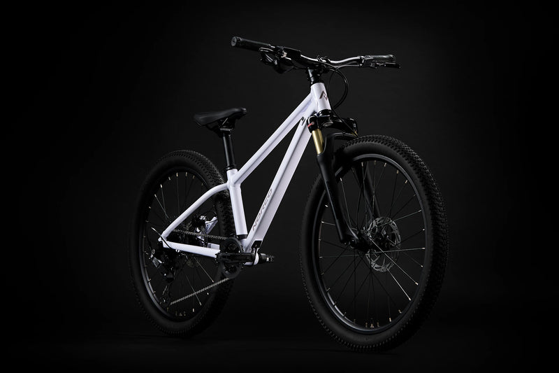 Load image into Gallery viewer, Norco Charger S24 Ice White