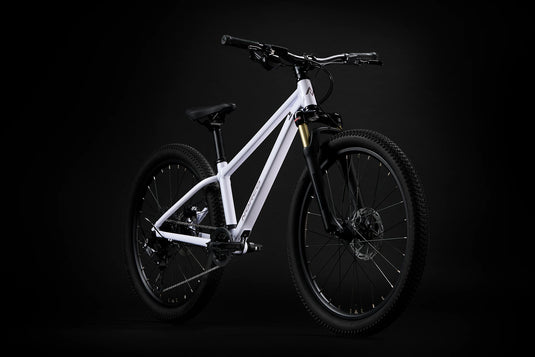 Norco Charger S24 Ice White