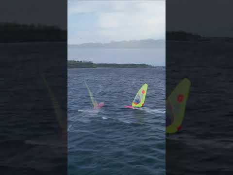 Load and play video in Gallery viewer, 2023 Goya Volar