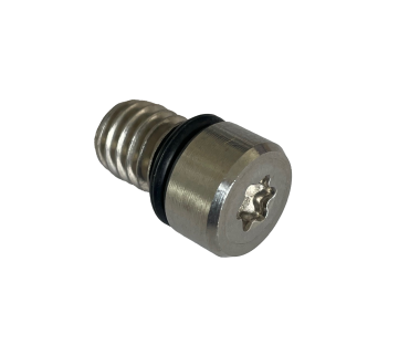 Stainless Air Valve Screw T30