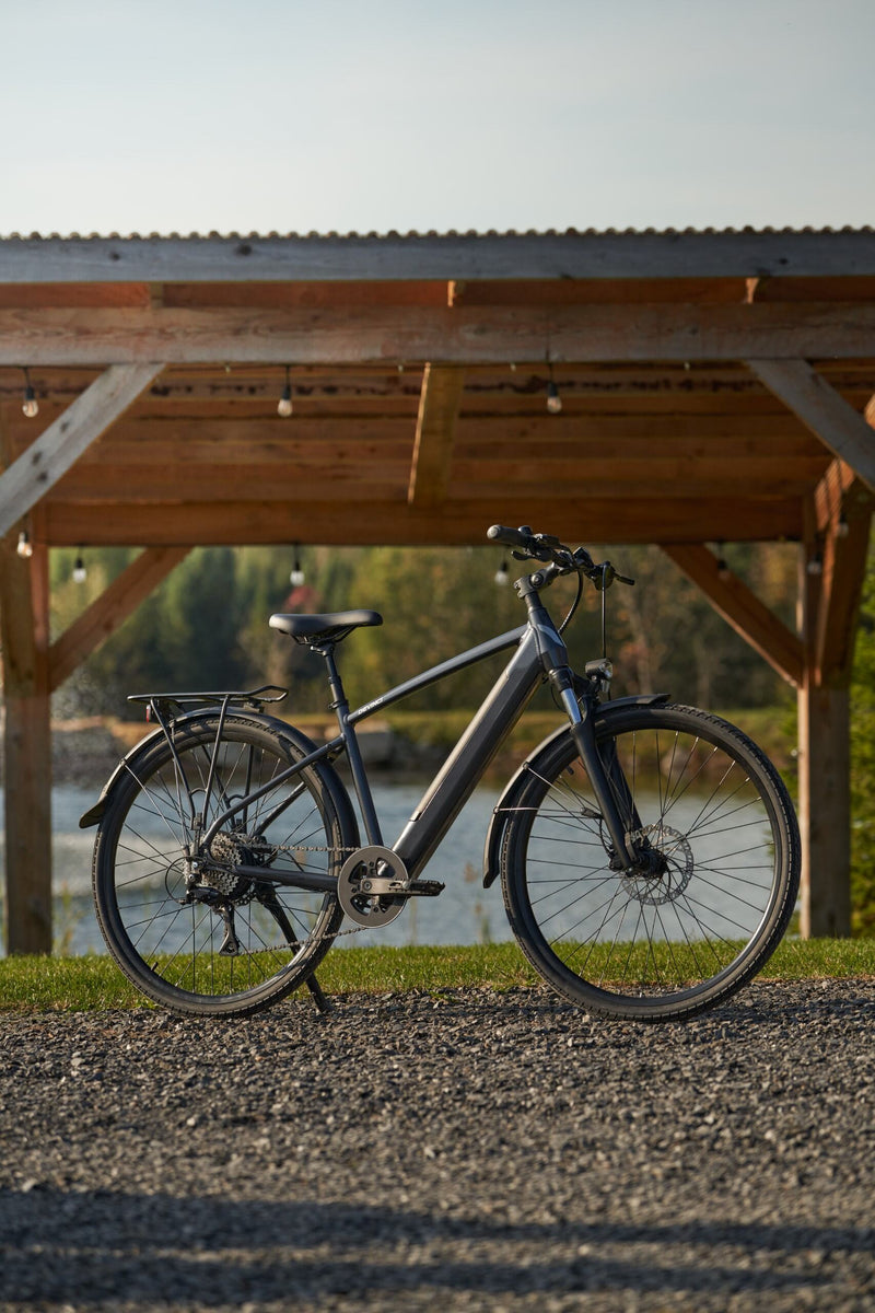 Load image into Gallery viewer, Devinci E-Milano HD
