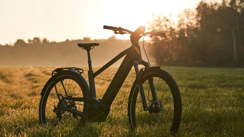 Load image into Gallery viewer, Devinci E-Cartier
