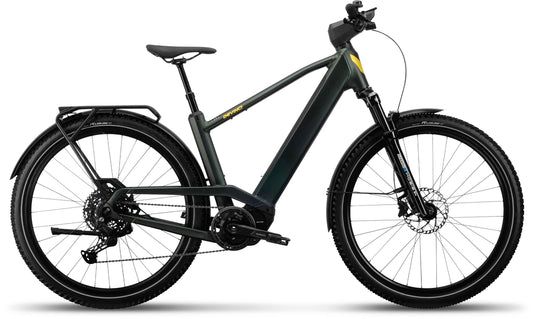 Devinci E-Cartier