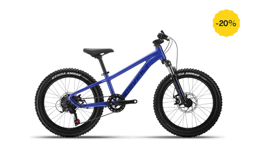 Devinci EWOC 20