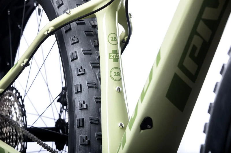 Load image into Gallery viewer, PIVOT LES Fat PRO XT Rigid  L
