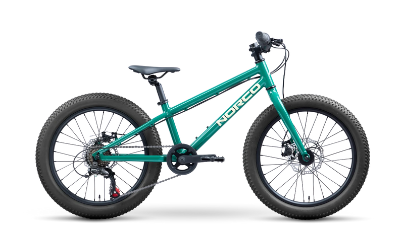 Load image into Gallery viewer, Norco Storm 20 Disc
