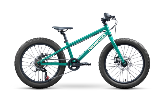 Norco Storm 20 Disc