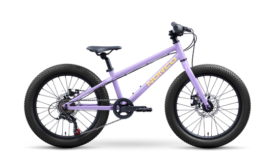 Norco Storm 20 Disc