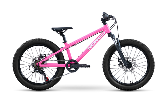 Norco Storm S20
