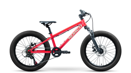 Norco Storm S20